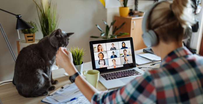 Woman working from home with teams meeting and a cat on the desk
