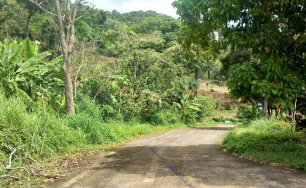 Private Access Road