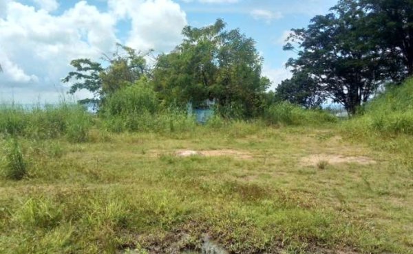 View of Land