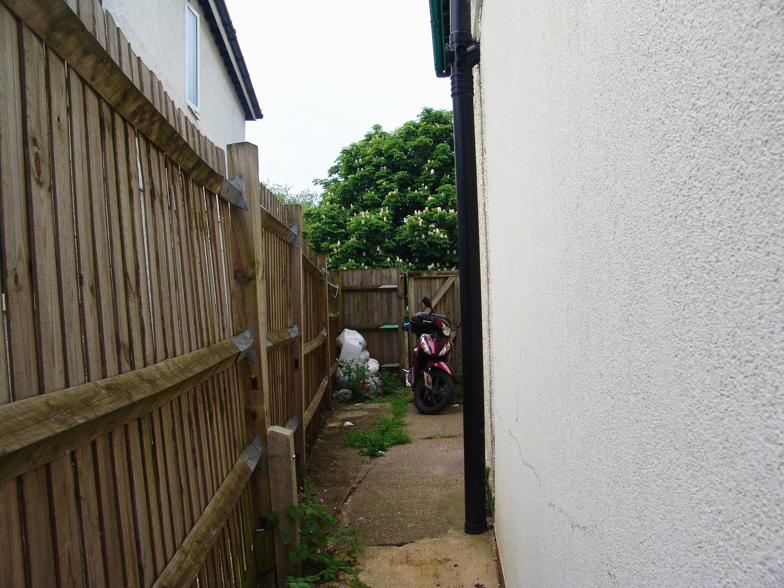 Side Entrance